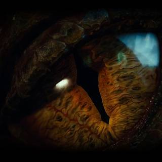 The Hobbit phone wallpaper