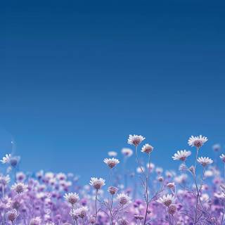 Purple and blue phone wallpaper