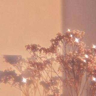 Vintage aesthetic phone wallpaper