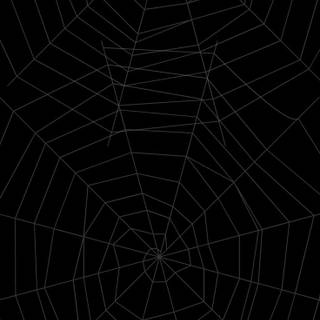 Spider web iPhone wallpaper