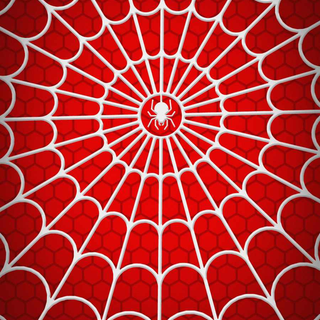 Spider web iPhone wallpaper