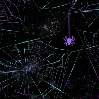 Spider web iPhone wallpaper