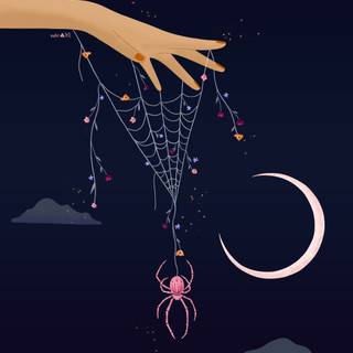 Spider web iPhone wallpaper