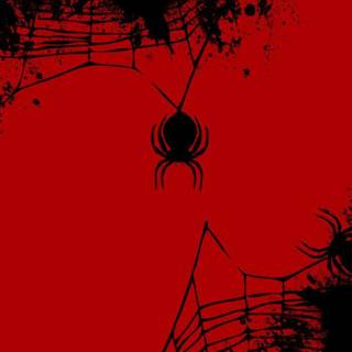 Spider web iPhone wallpaper