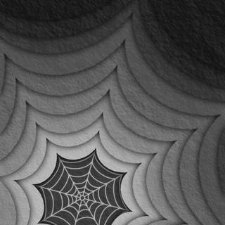 Spider web iPhone wallpaper