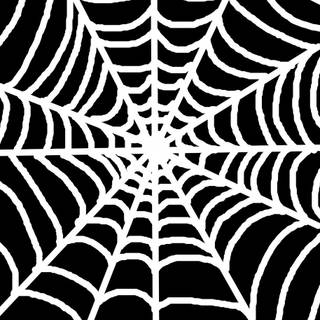 Spider web iPhone wallpaper
