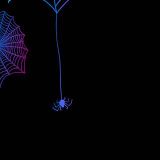 Spider web iPhone wallpaper