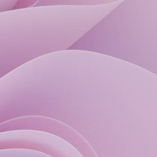 iPhone 14 pink wallpaper