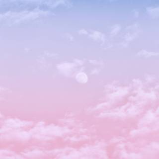 iPhone 14 pink wallpaper