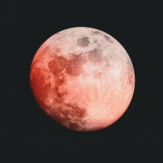 Red moon phone wallpaper