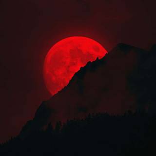 Red moon phone wallpaper