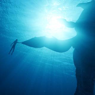 Avatar Lo'ak wallpaper