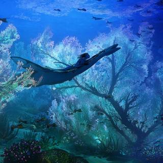 Avatar James Cameron wallpaper