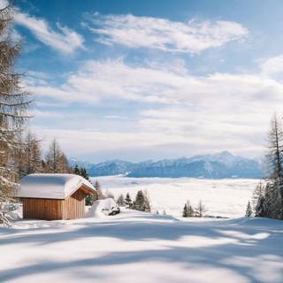 Cabin iPhone wallpaper