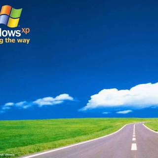 Blue plain Microsoft Windows wallpaper