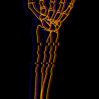 Skeleton drawing on hand wallpaper