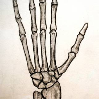 Skeleton drawing on hand wallpaper