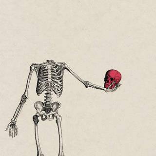 Skeleton drawing on hand wallpaper