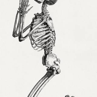 Skeleton drawing on hand wallpaper