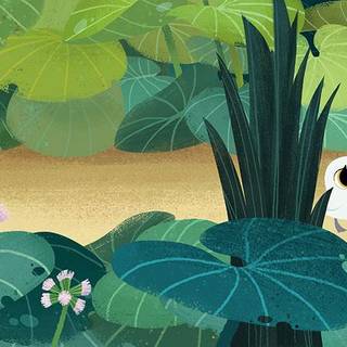 Puffin Rock wallpaper