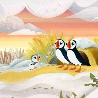 Puffin Rock wallpaper