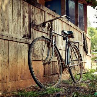 Old cycle wallpaper