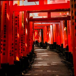 Japanese Torii Gate wallpaper