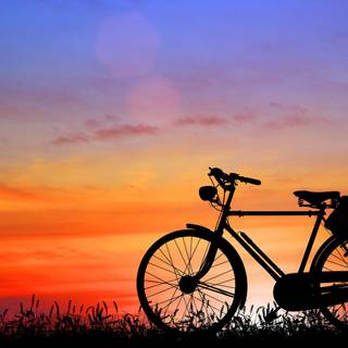 Old cycle wallpaper