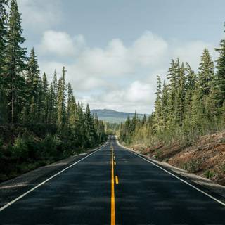 Expressway wallpaper