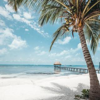 Isla Mujeres wallpaper