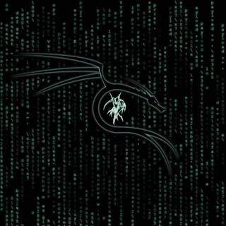 Kali Linux hacker wallpaper