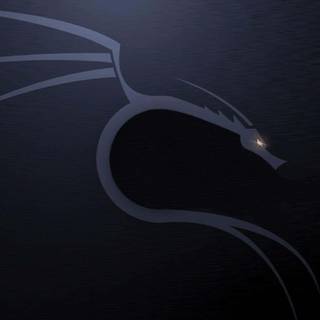 Kali Linux hacker wallpaper