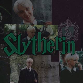 Draco Malfoy computer wallpaper