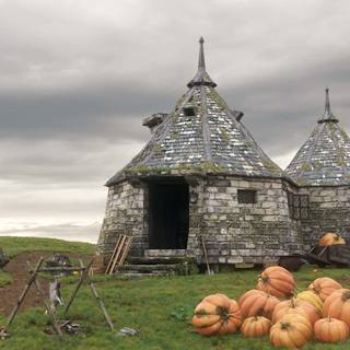 Hagrid's Hut wallpaper