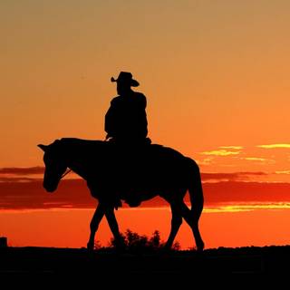 Blood Meridian wallpaper