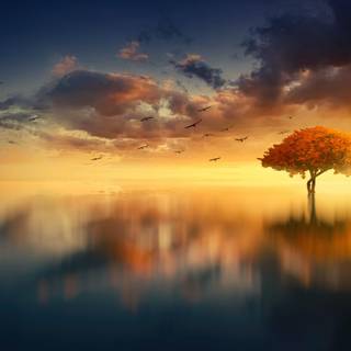 Nature aesthetics 4k wallpaper