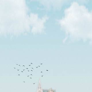 Niall Horan iPhone wallpaper