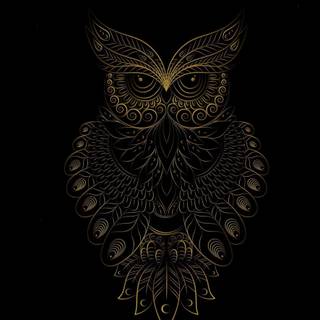 iPhone owl wallpaper