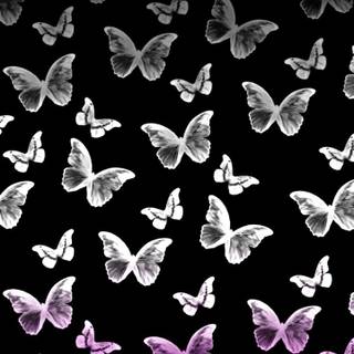 Asexual phone wallpaper