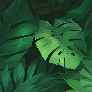 Aesthetic green phone wallpaper