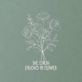 Aesthetic green phone wallpaper