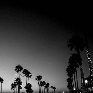 Aesthetic black and white phone wallpaper