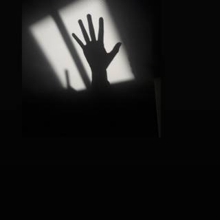 Aesthetic black and white phone wallpaper