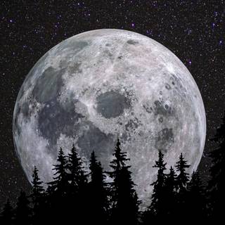 Black 8k phone wallpaper