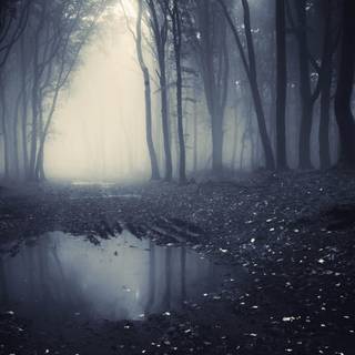 Dark 8k desktop wallpaper