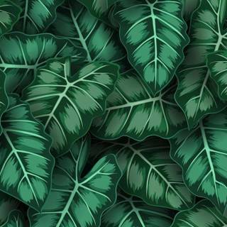 Greenery phone wallpaper