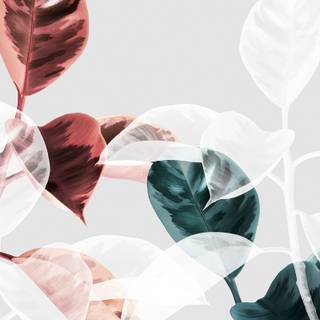 Greenery phone wallpaper