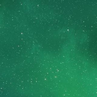 Greenery phone wallpaper