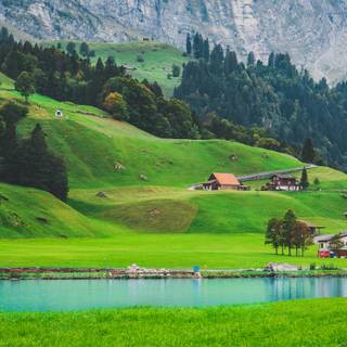 Greenery 4k wallpaper