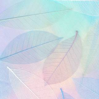 Pastel blue phone wallpaper